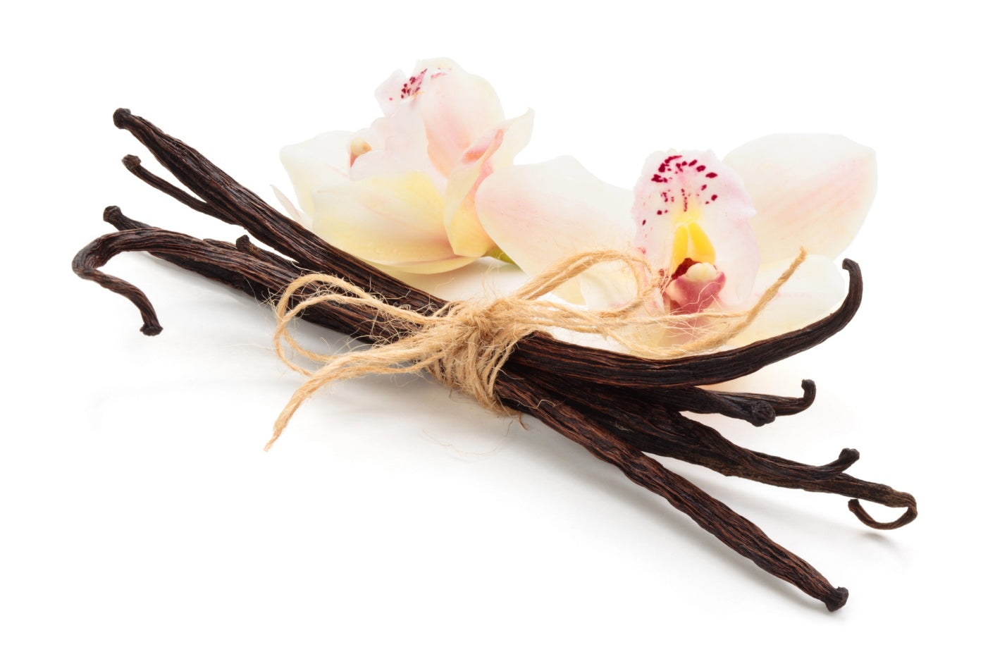 Fragrance Canada – Sep – Best Vanilla Perfumes