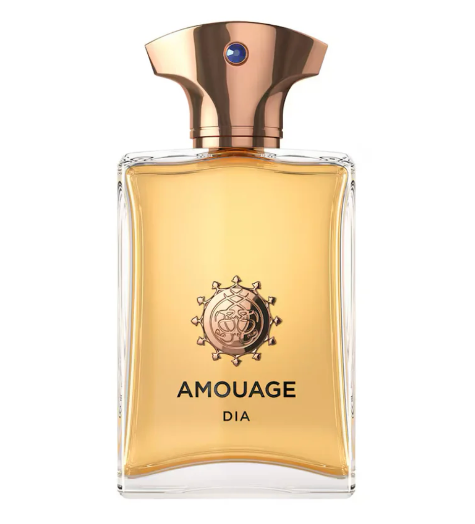 Amouage Dia Man 100ML EDP Spray (M)