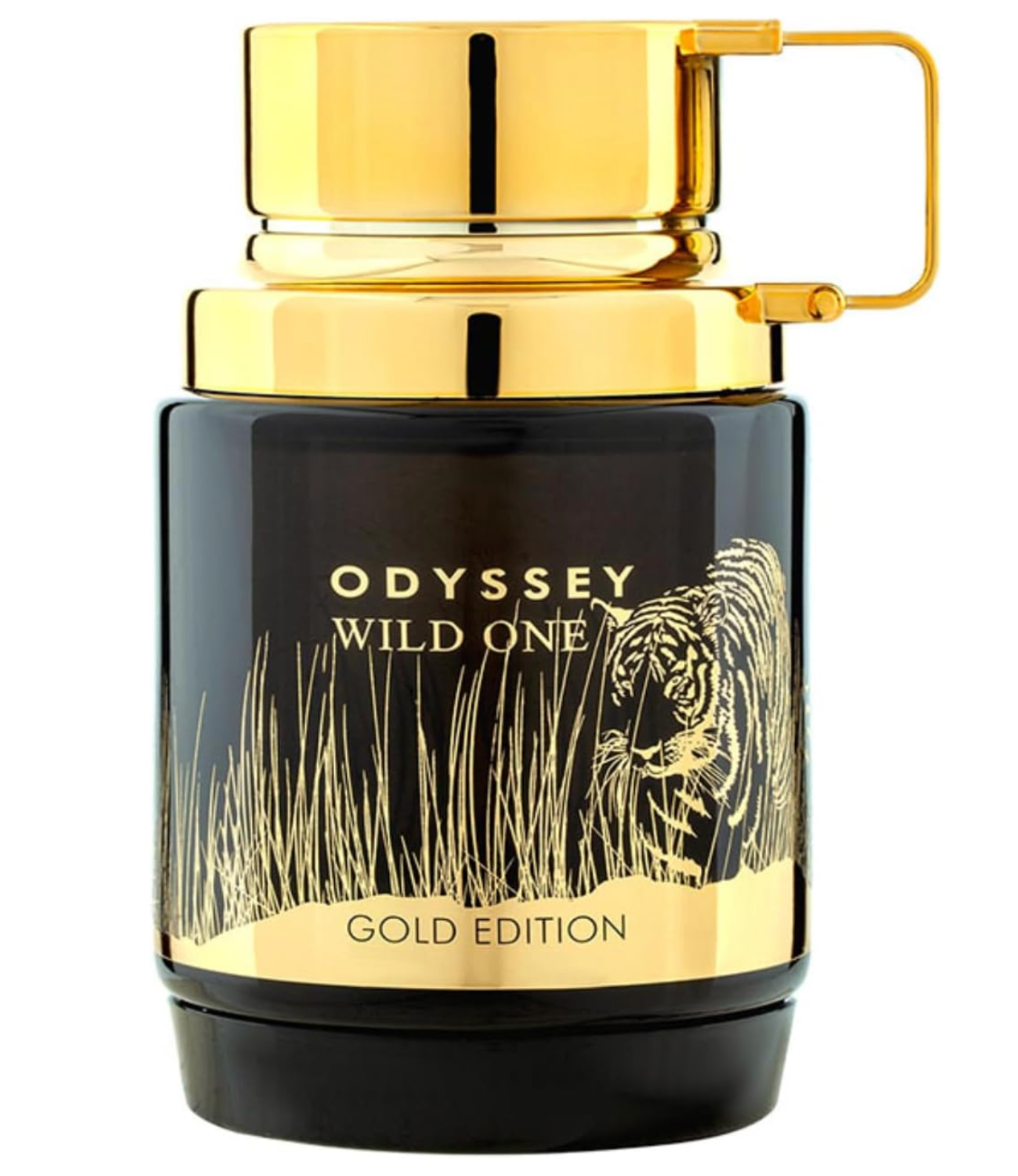 Armaf Odyssey Wild One Gold Edition 100ML EDP Spray (M)
